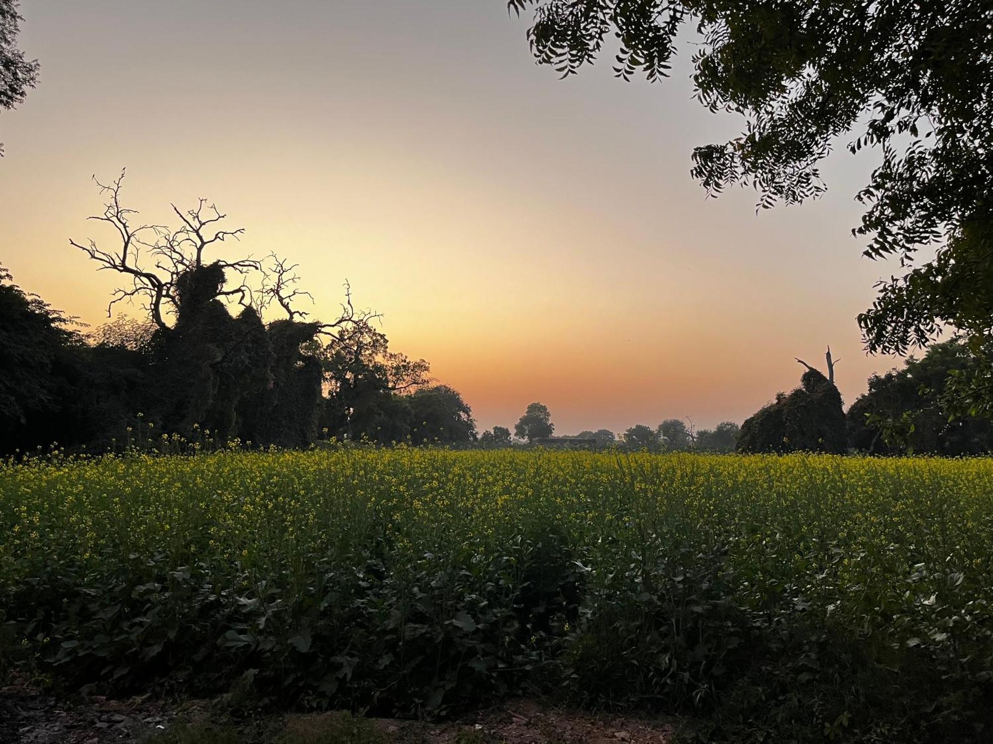 Sharad Baug Homestay Bhuj Extérieur photo