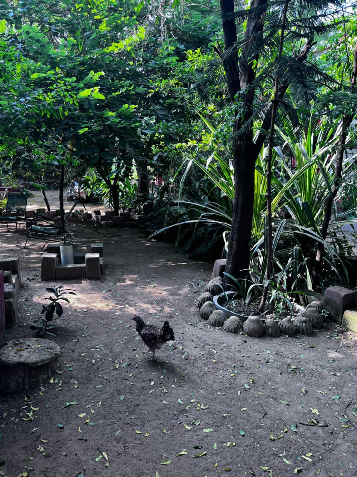 Sharad Baug Homestay Bhuj Extérieur photo